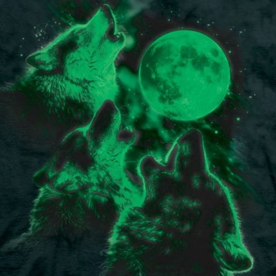 The Mountain T-Shirt - Glow Wolf Moon 